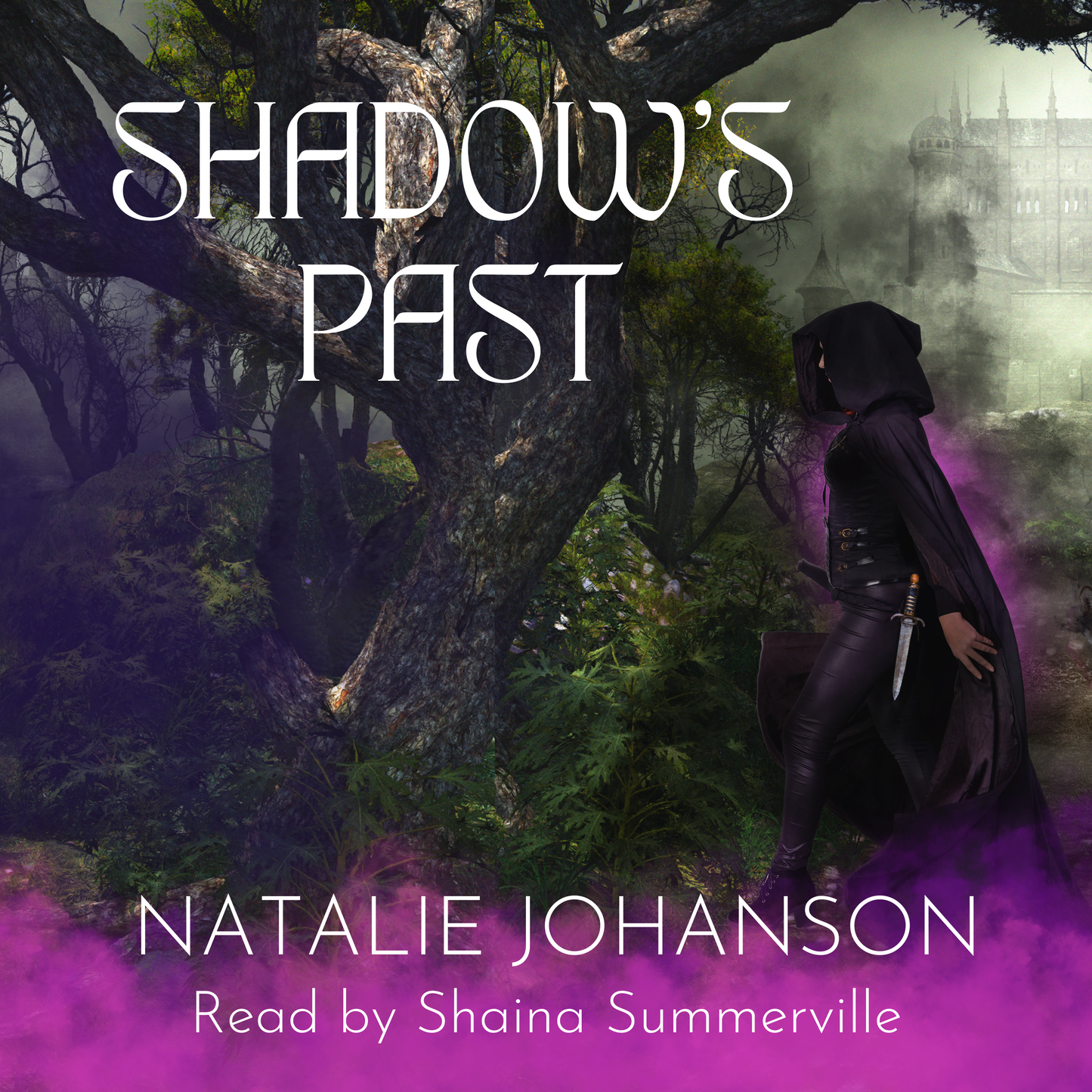 Shadow’s Past (Shadowstalker Series Book 2)