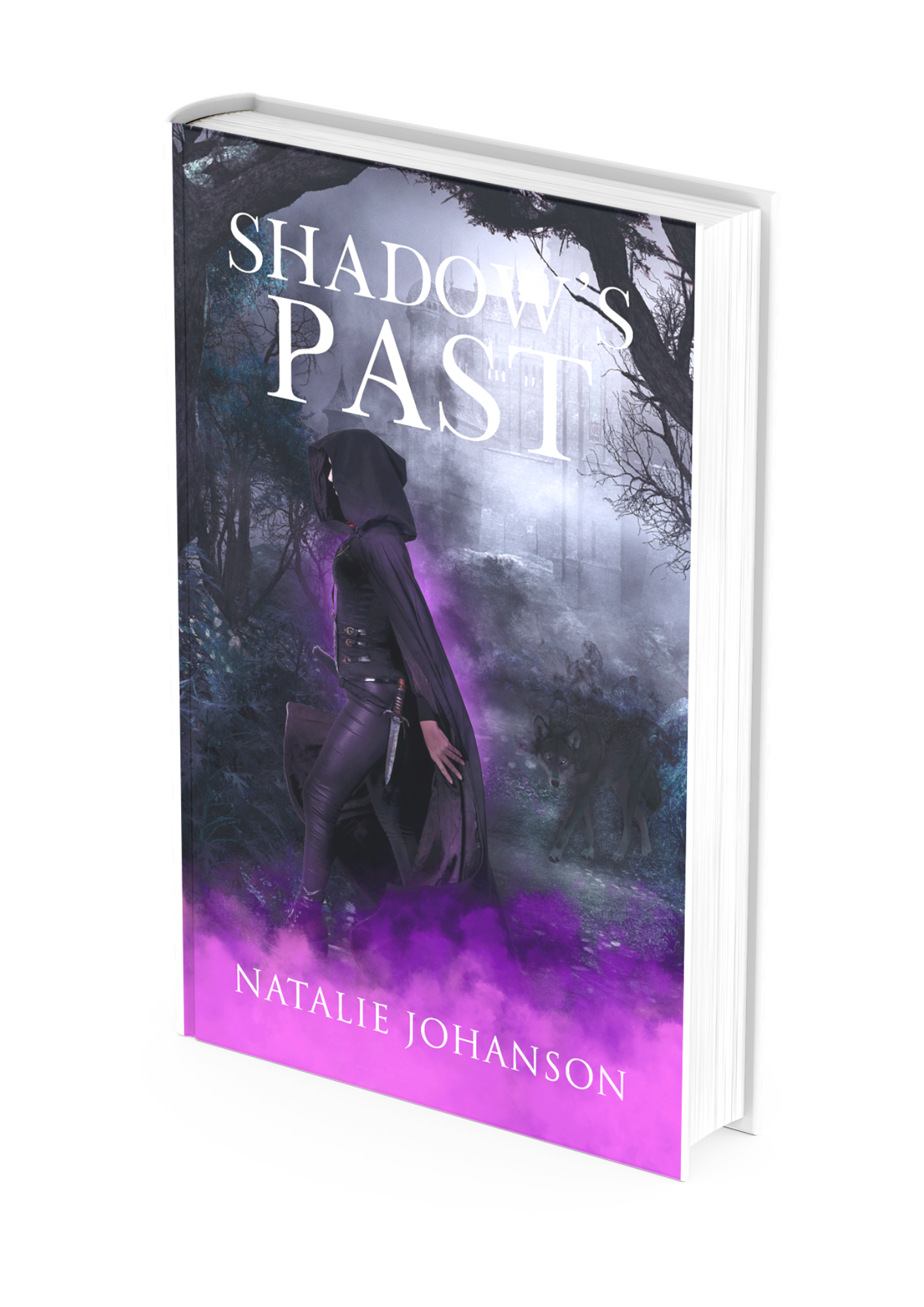 Shadow’s Past (Shadowstalker Series Book 2)