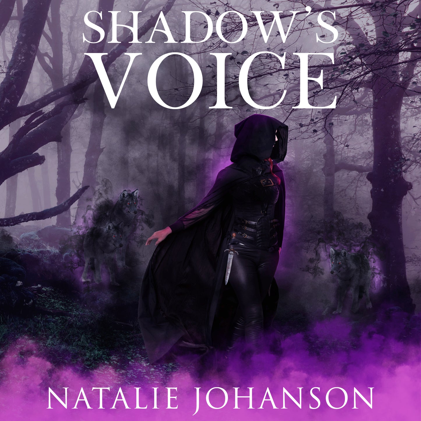 Shadow’s Voice (Shadowstalker Series Book 1)