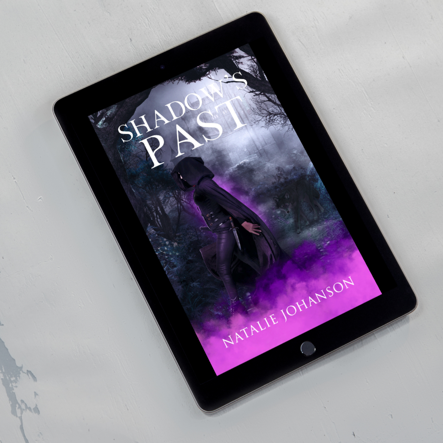 Shadow’s Past (Shadowstalker Series Book 2)